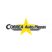Correa Auto Piezas