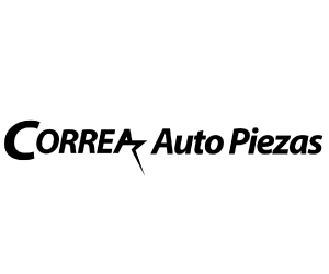 Correa Auto Piezas