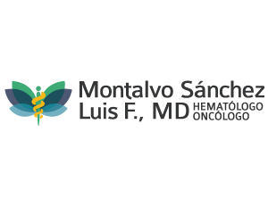 Montalvo Sánchez Luis F