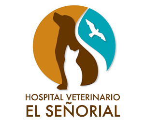 Hospital Veterinario El Señorial