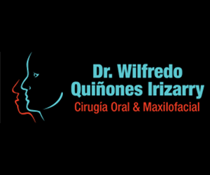 Quiñones Irizarry Wilfredo