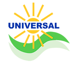 Universal Solar Products Inc