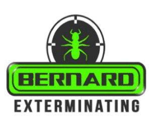 Bernard Exterminating