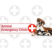 Animal Emergency Clinic