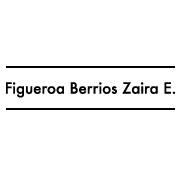 Figueroa Berrios Zaira E.