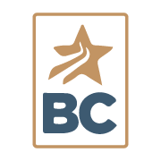 Logo Beasir Consulting