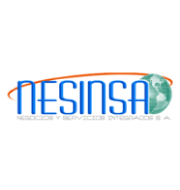 Nesinsa