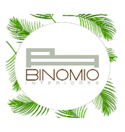 Binomio Design Srl