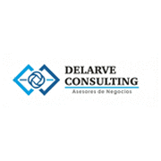 DELARVE CONSULTING