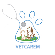 Logo Vetcarem