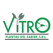 Vitroplantas del Caribe